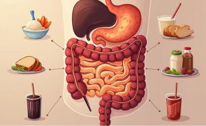 تأثیر امولسیفایر بر روده چیست؟ افزودنی ها را بشناسید