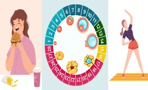 بهترین زمان برای رژیم فستینگ در پریودی و کاهش وزن