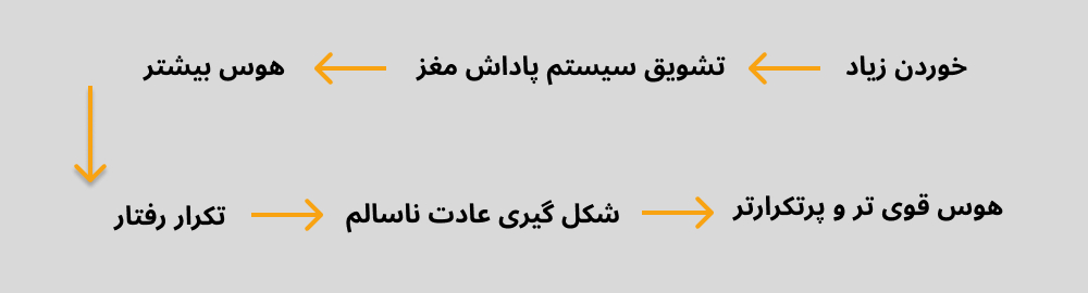چرخه علت هوس های غذایی