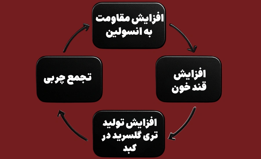 پیشگیری و درمان کبد چرب با سبک زندگی سالم | راهنمای علمی و کاربردی
